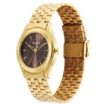 Titan Karishma Zing Quartz Analog Green Dial Stainless Steel Strap Watch For Men (1648YM06)